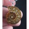 Madagascar Fossil AMMONITE 925 Silver Bail Pendant,unique | PENDANT-WORLD.COM | Buy at $16.75
